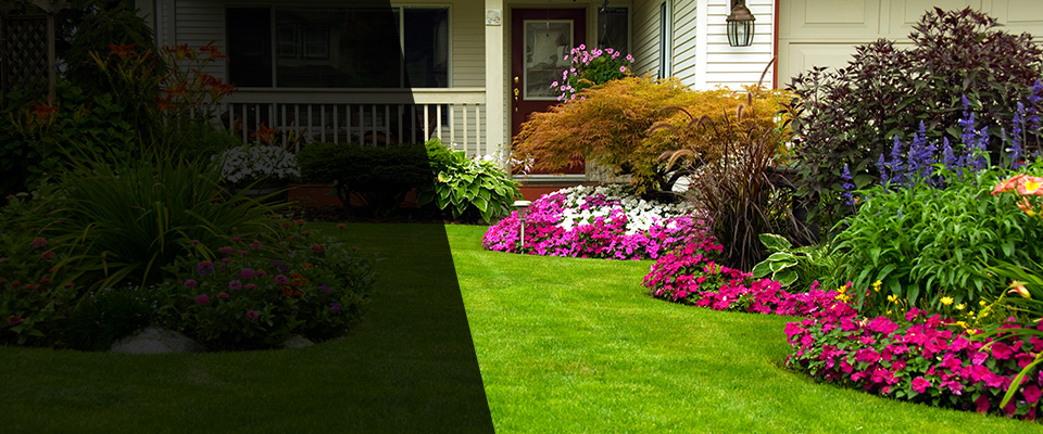 Lothian Landscapers