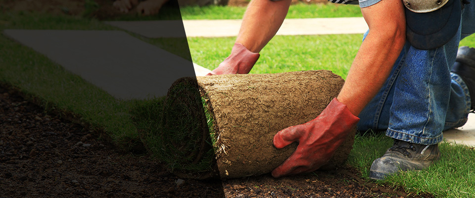 Lothian Landscapers